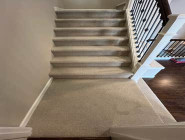 Photos by Gus's Premium Carpets Inc #1