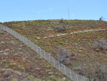 Chainlink Fence