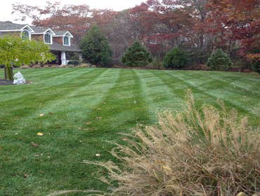 Photo(s) from Denham Lawn & Landscaping