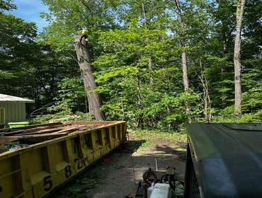 Flores Tree Services General & Landscaping
