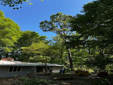 Flores Tree Services General & Landscaping