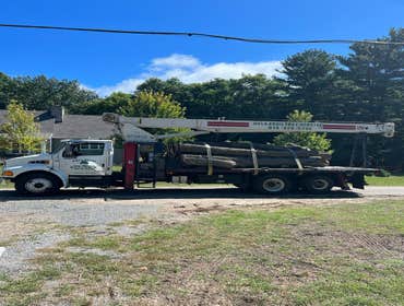 Photos by Gallardo Tree Service LLC #2
