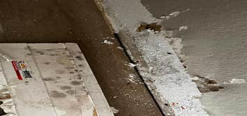 Mold Remediation - after Drywall Flood Cuts