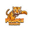 Pounce plumbing logo