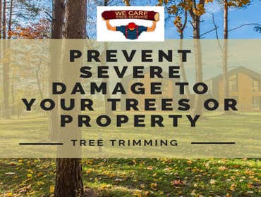 We Care Tree Services Looking for complete tree service. From tree removal to land clearing – We Care Tree Service can handle all of your tree service 