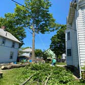 Photos by Professional Master Landscaping LLC #4