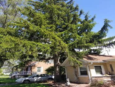Photos by Sunnyview Landscaping #1