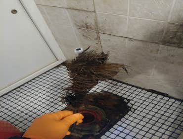 JBL Drains Gallery