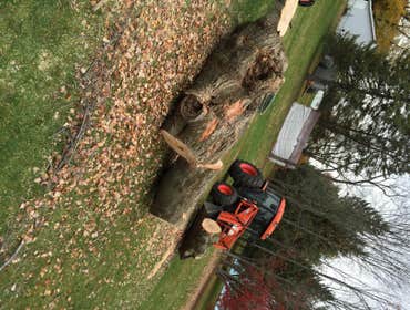 Log removal