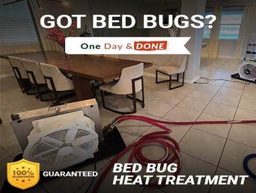 Photos by Bed Bug Exterminator | ST. Petersburg #1