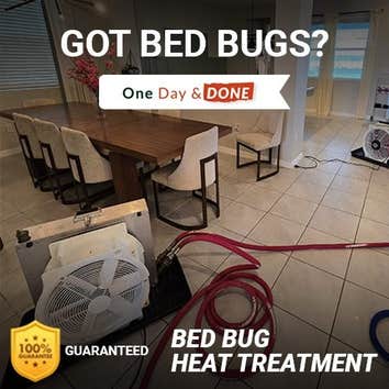 Photos by Bed Bug Exterminator | ST. Petersburg #1