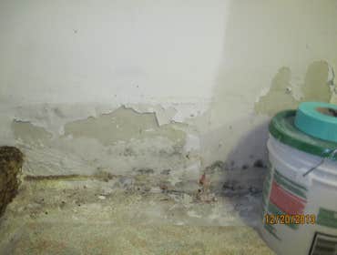 basement wall before pic