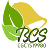 Bellwether Construction Services LLC logo