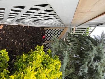 Photos by Laborers Construction Corp #1