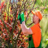 Buckley's Best Tree Care