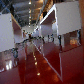 Projects by Premier Carpet Inc Dba Green Polishing Solutions