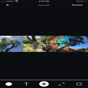 Photos by Woodpecker Tree Service #1