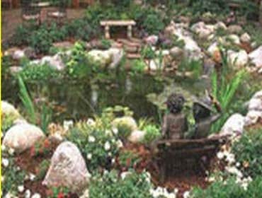 Ponds and Water Features Sunset Bay Landscaping Inc.'s designers can transform your property into a luxurious oasis with multiple waterfalls, water fea