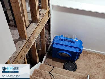 Photos by Fdp Mold Remediation of Bowie #2