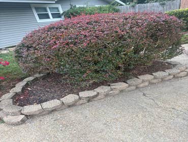 Photos by Beauty Meister Landscaping LLC #2