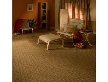 Project photos by Americarpet Inc.