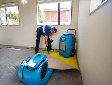 Photos by Modern Times Water Damage Experts #1