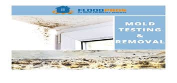 Flood Pros USA