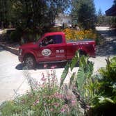 Tom Keith Electrical Services Projects