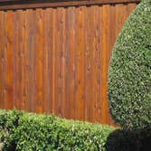 Fences