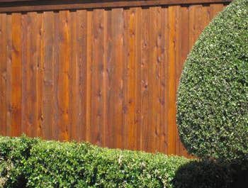 Fences