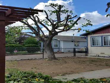 Photos by Estates Tree Service #1