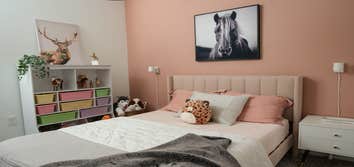 Mid-Century Modern A mid-century inspired room for an animal loving pre-teen.