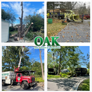 Photos by Oak Tree Services & Landscaping #3
