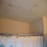 Photo(s) from Nw Mold Removal