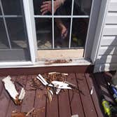 Photos by Perfect Home Renovations LLC #3 Repair water damaged sliding doors and install new metal capping