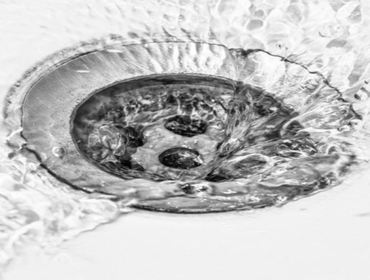 Photos by The Plumbarius Company #1
