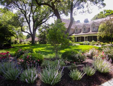 Landscape Design