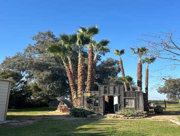 Photos by A+ Ramirez Tree Service #11