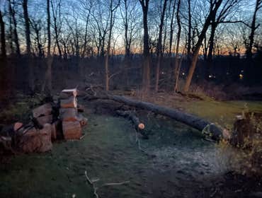 Cutting trees