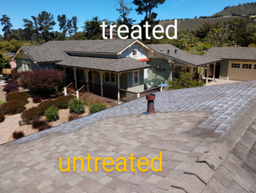 Roof Maxx Treatment In Process