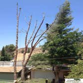 OCHOA TREE SERVICE Project 1