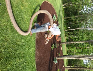 Photos by M. Jayson Lawn Care, LLC #1