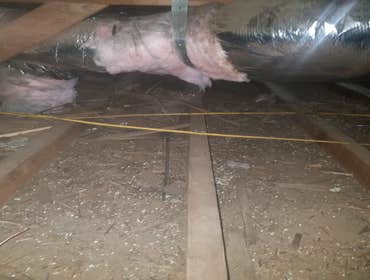 Attic Cleaning & Decontamination - West Covina