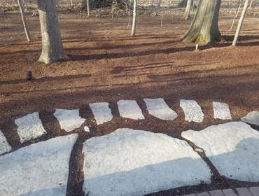 Photos by Jm Landscape and Tree Services #1