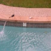 Top Drain Service