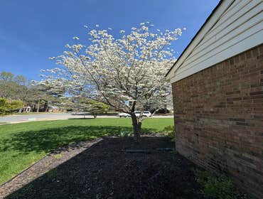 Photos by Beauty Meister Landscaping LLC #2