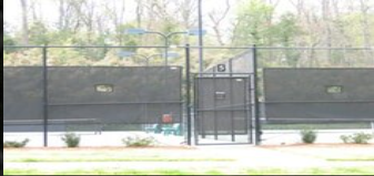 Chain Link