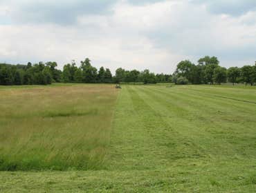 Field being Rough cut Mowed