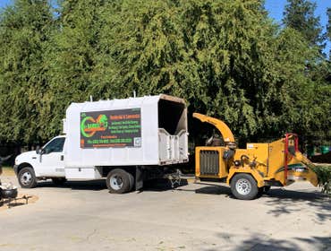 General clean ups