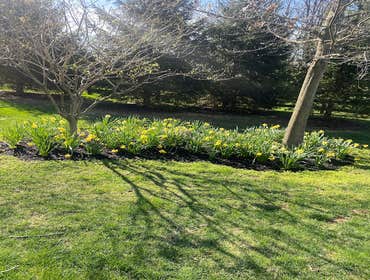 Photos by River Mountain Landscape & Property Services, Inc #1